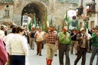 Adunata Provinciale Soave 29-05-1983