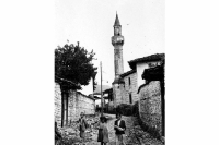 Albania Ferroni 
