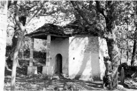 Albania Ferroni 