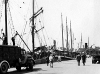 Albania Collezione Gino Ferroni