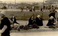 Vita e paesaggi albanesi