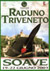 Triveneto_Soave_75